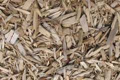 biomass boilers Peniel